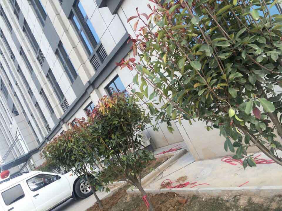 河南胜游官方网站总代理